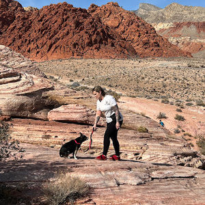 Meet your Posher, Jenny